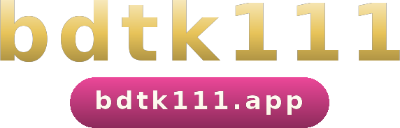 bdtk111 logo